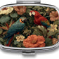 Metal 2 Compartment Pill Organizer Travel Friendly Portable Compact Pill Box Cute Pill Case,for Pocket Wallets Daily Portable Medicine Vitamin Tablet Storage (Parrot)
