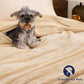 PHF Ultra Soft Fleece Blanket Queen Size, No Shed No Pilling Luxury Plush Cozy 300GSM Lightweight Blanket for Bed, Couch, Chair, Sofa Suitable for All Season, 90" x 90", Beige
