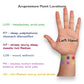 Motion Sickness Relief Acupressure Wristbands for Kids and Adults – Waterproof, Slip-On, Nausea Relief, Motion Sickness, Travel (2 Pack) (Orange, Medium 7)