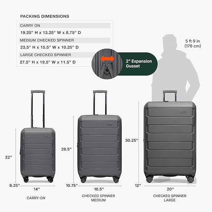 Traveler's Choice Pagosa Hardshell Expandable Luggage with Spinner Wheels, Gray, 2-Piece Set (22/26)
