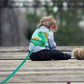 Accmor 3 in 1 Toddler Harness Leash + Baby Anti Lost Wrist Link, Cute Dinosaur Kids Safety Harness Tether, Kids Walking Wristband Assistant Strap Belt for Parent Boys Outdoor Activity (LightGreen)
