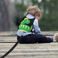 Accmor Toddler Harness Leash + Anti Lost Wrist Link, Cute Dinosaur Kids Harness with Leash, Adorable Child Harness Leash Wristband Strap Belt Protector for Baby Boys Girls to Outdoor Travel
