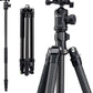 Fotopro Carbon Fiber Tripod 64 Inch 360 Degree Ball Head Quick Release Plate Camera Tripod Compatible with Canon Nikon Sony DSLR Camcorder, Black