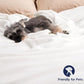 PHF Ultra Soft Fleece Blanket Twin Size, No Shed No Pilling Luxury Plush Cozy 300GSM Lightweight Blanket for Bed, Couch, Chair, Sofa Suitable for All Season, 66" x 90", White