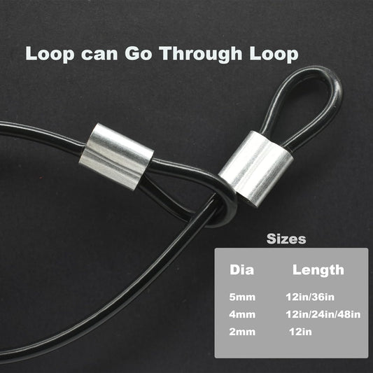 10 pcs 2mm Wire 12 inch Vinyl Coated Stainless Steel Cable with Loops Short Wire Rope Lanyard Lock Security Chain Link for Outdoor Gates,Black(2mm x 12inch)