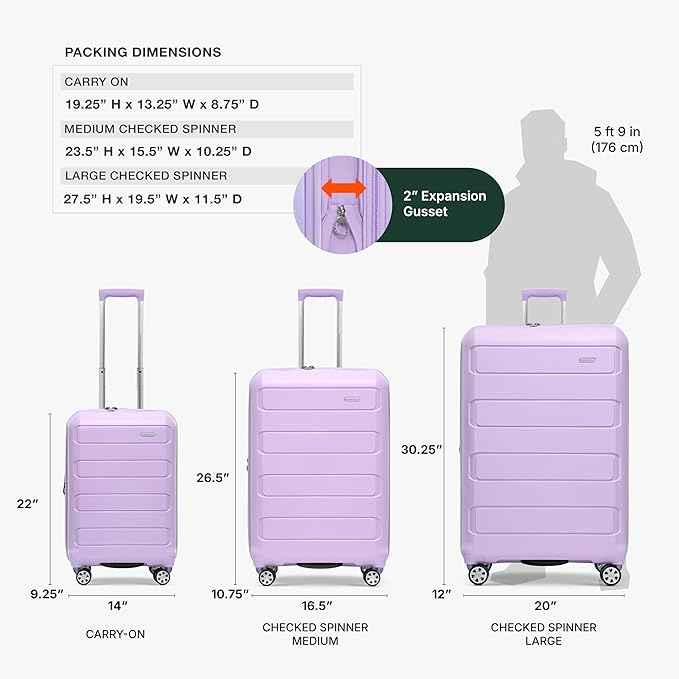 Traveler's Choice Pagosa Hardshell Expandable Luggage with Spinner Wheels, Lavender, 22-Inch Carry-on