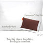 Pipsqueak Pillow - Small, Mini, Tiny - 11 x 7 in - Perfect for Travel, Cars, Airplanes, Camping, Dogs, Toddlers, Kids, Lumbar, Knees and Neck - Ages 2 Yrs and Up