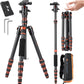 K&F Concept 60 inch Carbon Fiber Camera Tripod,Super Lightweight Compact Travel Tripod with 360 Degree Ball Head,Quick Release Plate, Detachable Monopod, 17 lb Load Capacity for SLR DSLR, A225C0+BH25L