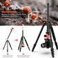 [Upgrade Version] GEEKOTO 77'' Aluminum Camera Stand & Monopod, Foldable Travel Gear with 360° Ball Head and Quick Release Plate for DSLR, Work, and Content Creation