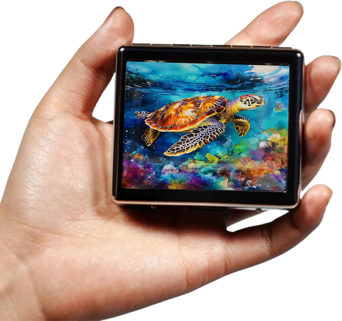 Silver Vintage Pill Box 7 Day Metal Pill Box with Mirror and 8 Compartments Cute Travel Pill Organizer for Purse (Sea Turtle)
