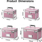 11 x 7 x 8.3 Inch Lockable Storage Box with Combination Lock, Portable Safe for Documents, Medicine, Cash & Valuables, Medicine Lock Box with Label Slot for Home, Office & Travel - Pink