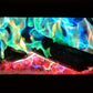 Mystical Fire Color Changing Packets Fire Pits Campfire Long-Lasting Enchanted Multi-Color Magical Family Fun for Indoor Fireplace or Outdoor Use 25 Gram 12 Pack