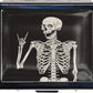 Silver Vintage Pill Box 7 Day Metal Pill Box with Mirror and 8 Compartments Cute Travel Pill Organizer for Purse (Rock and Roll Skull Skeleton)