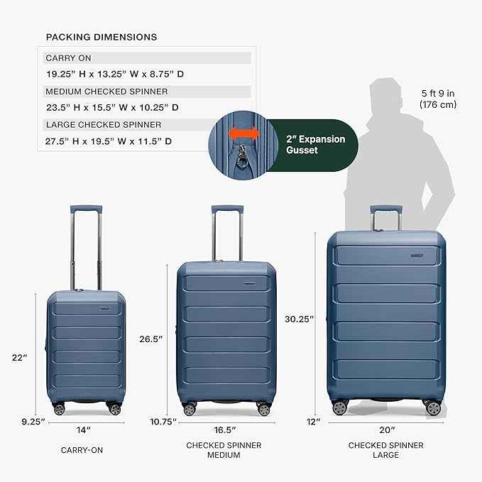 Traveler's Choice Pagosa Hardshell Expandable Luggage with Spinner Wheels, Slate Blue, 22-Inch Carry-on