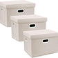 TYEERS Large Storage Bins with Lids, Collapsible, Washable, Fabric Storage Boxes for Organizing, 17.3x11.8x11.4 inches, 3 Pack, Beige