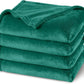 PHF Ultra Soft Fleece Blanket Queen Size, No Shed No Pilling Luxury Plush Cozy 300GSM Lightweight Blanket for Bed, Couch, Chair, Sofa Suitable for All Season, 90" x 90", Teal Green