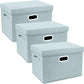 TYEERS Large Storage Bins with Lids, Collapsible, Washable, Fabric Storage Boxes for Organizing, 17.3x11.8x11.4 inches, 3 Pack, Aqua Spring