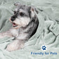 PHF Ultra Soft Fleece Blanket Queen Size, No Shed No Pilling Luxury Plush Cozy 300GSM Lightweight Blanket for Bed, Couch, Chair, Sofa Suitable for All Season, 90" x 90", Sage Green