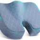 TushGuard Office/Car Seat Cushion, Non-Slip Sciatica & Back Coccyx Tailbone Pain Relief Chair Pad, Memory Foam Butt Pillow for Computer Desk, Wheelchair, Driving (Light Blue, X-Large)