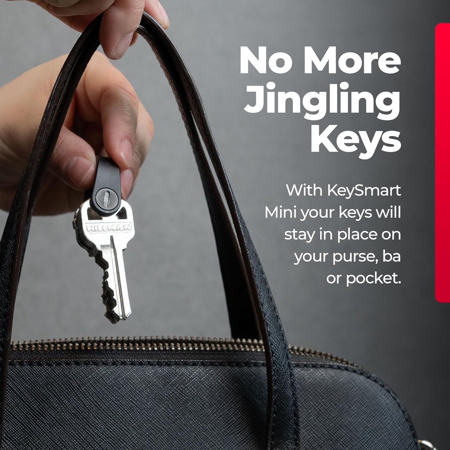KeySmart Keychain Key Holder - Compact Key Organizer for Key Chain Key Ring, EDC Key Chains for Car Fobs Keychains