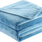 Surii Home Luxury Microfiber Flannel Blanket, Super Soft, Warm, Cozy, Fluffy, and Breathable, Perfect Throws for Bed, Couch, Sofa, for All Season Use. 350GSM Queen Size 90x90 Inches(Sky Blue)