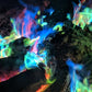 Mystical Fire Color Changing Packets Fire Pits Campfire Long-Lasting Enchanted Multi-Color Magical Family Fun for Indoor Fireplace or Outdoor Use 25 Gram 12 Pack