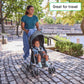 Ingenuity3D Mini Convenience Stroller – Lightweight Stroller with Compact Fold, Multi-Position Recline, Canopy with Pop Out Sun Visor – Umbrella Stroller for Travel and More, Slate Grey