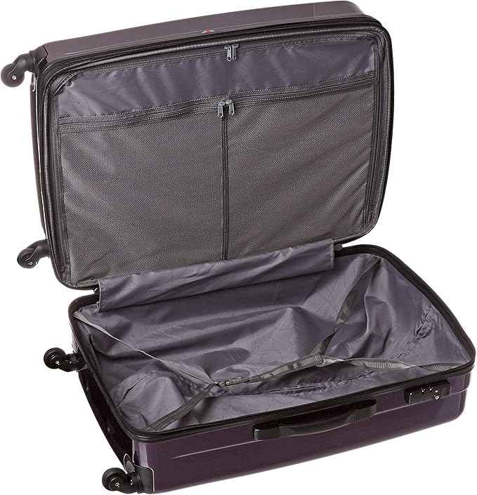 Samsonite Winfield 2 Hardside Expandable Luggage with Spinner Wheels, Purple, Checked-Large 28-Inch
