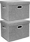 TYEERS Large Collapsible Storage Bins with Lids, Organization Bins for Closet Storage, Clothes Storage, Folding Storage Box with Lids for Home Office Storage - 2 Pack - Gray