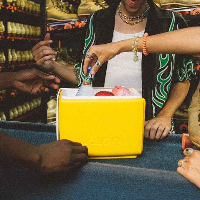 Igloo Classic Playmate Coolers | Insulated Hard Shell Cooler Chest