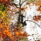 ScentLok Forefront Midweight Water Repellent Camo Hunting Jacket for Men